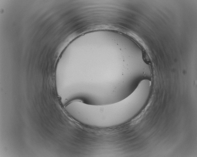 X0000076401097200610271612