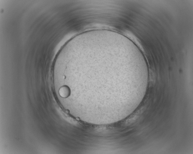 X0000076401098200610271612