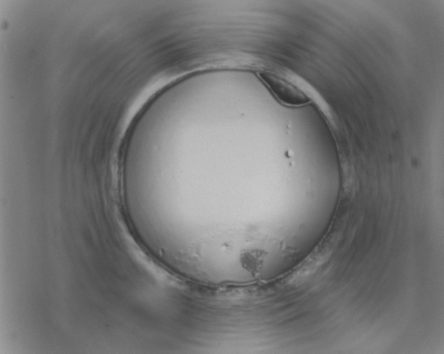 X0000076401099200610271612