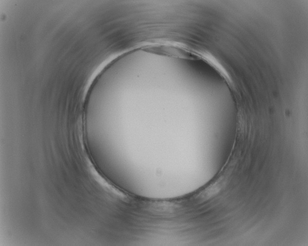 X0000076401100200610271612