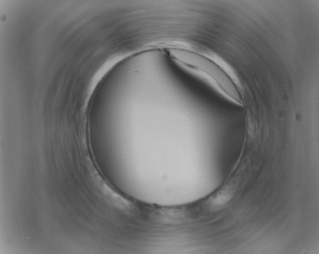 X0000076401102200610271612