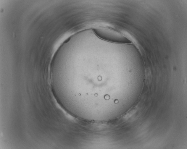 X0000076401103200610271612