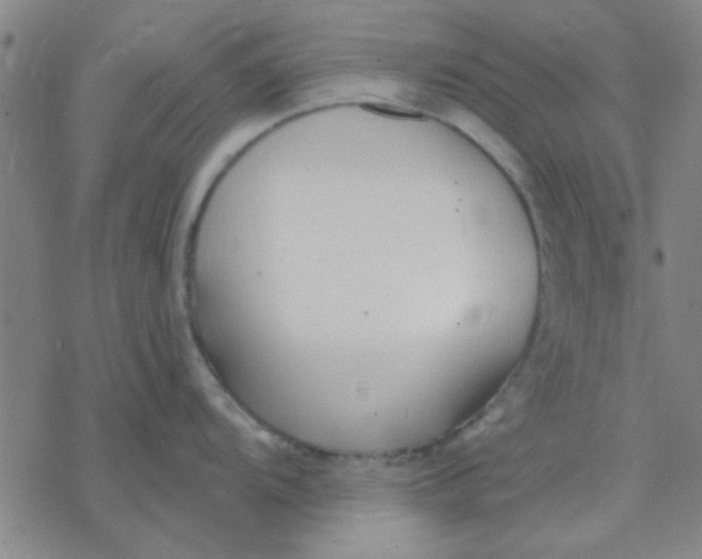 X0000076401104200610271612