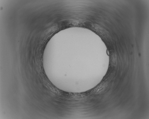 X0000076401105200610271611