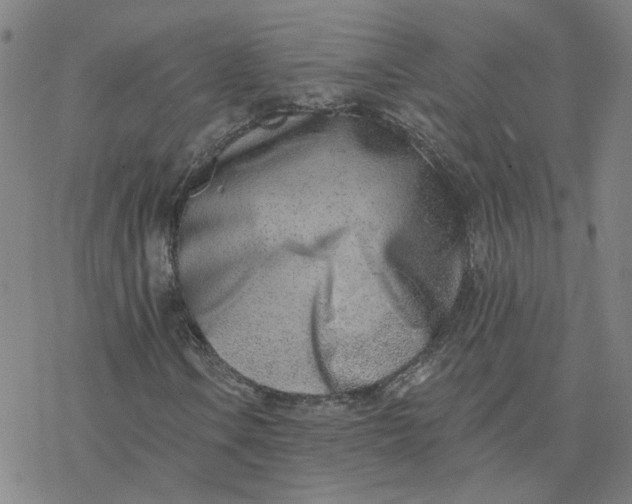 X0000076401106200610271611