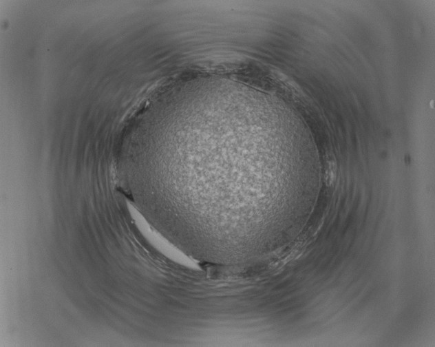 X0000076401108200610271611