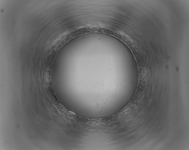 X0000076401110200610271611