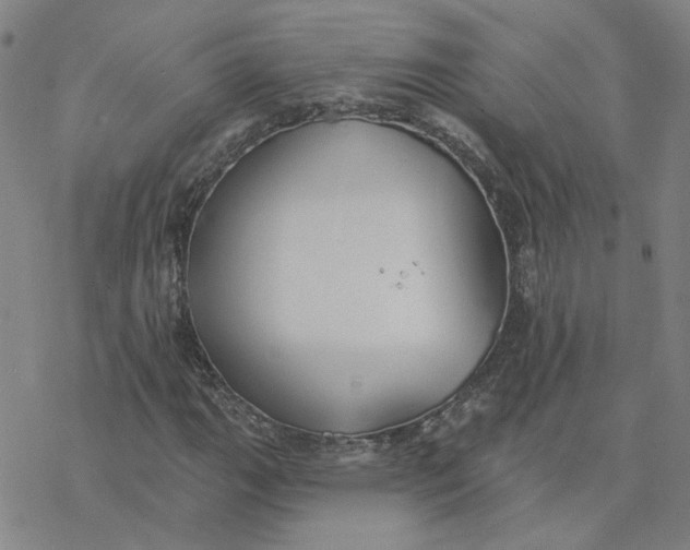 X0000076401111200610271611