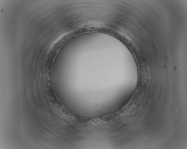 X0000076401112200610271611