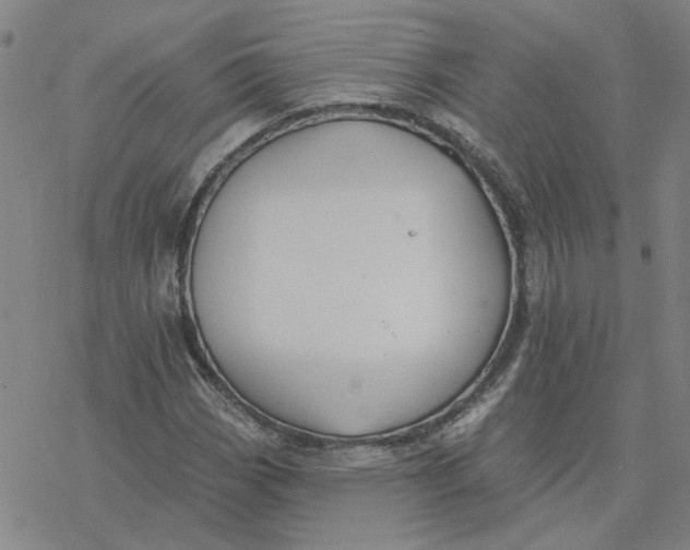 X0000076401113200610271611