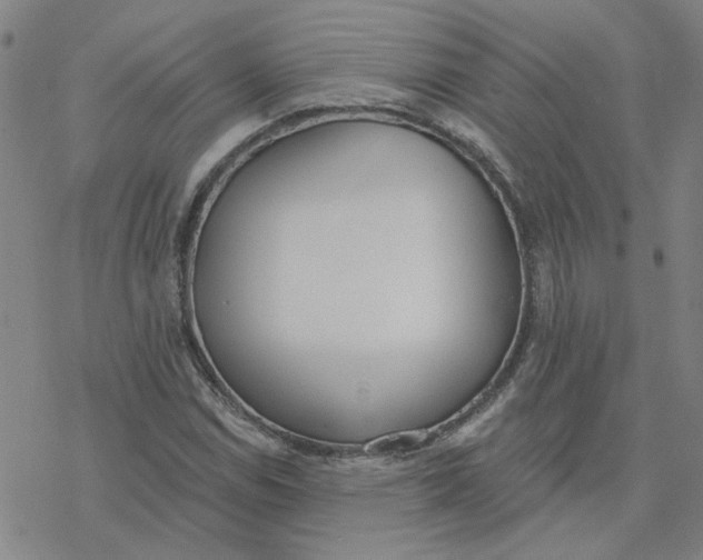 X0000076401114200610271611