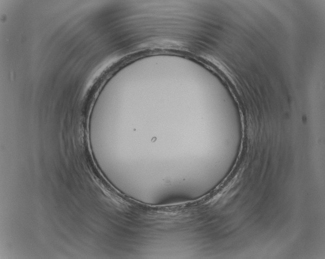 X0000076401115200610271611