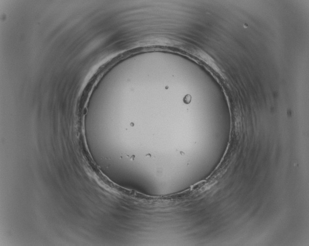 X0000076401116200610271611