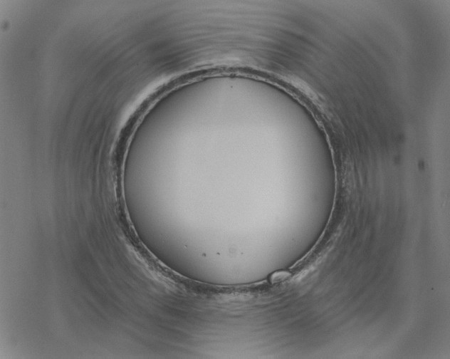 X0000076401118200610271611