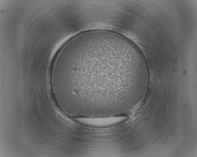 X0000076401120200610271611