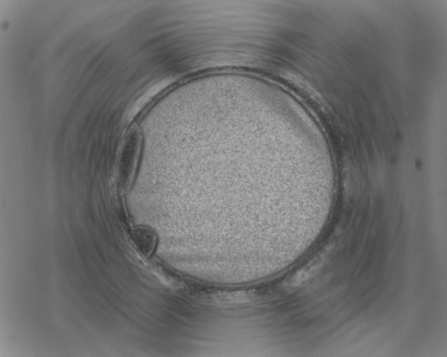 X0000076401121200610271611