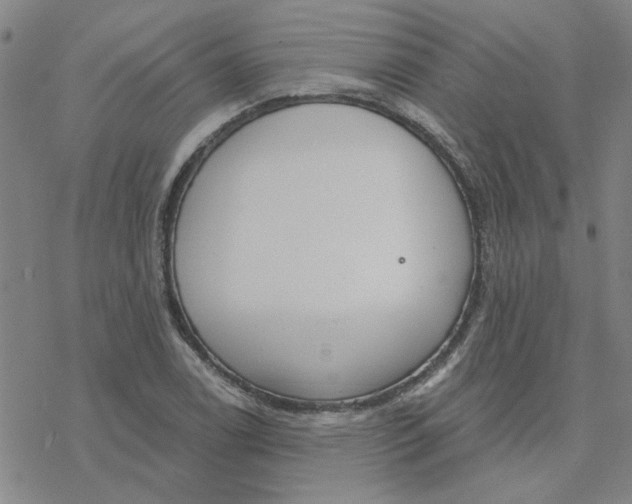 X0000076401122200610271611