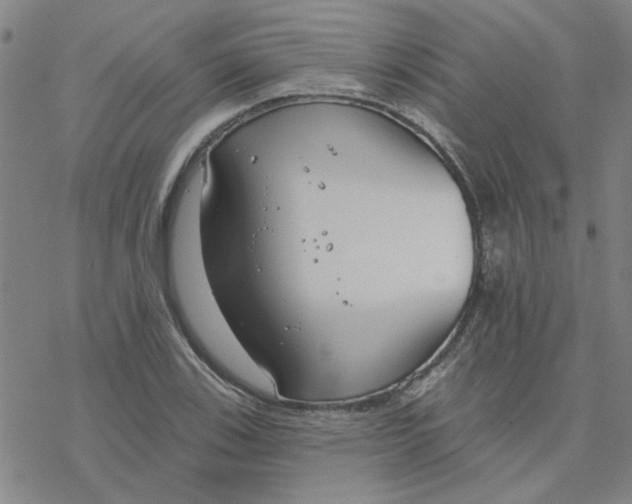 X0000076401123200610271611