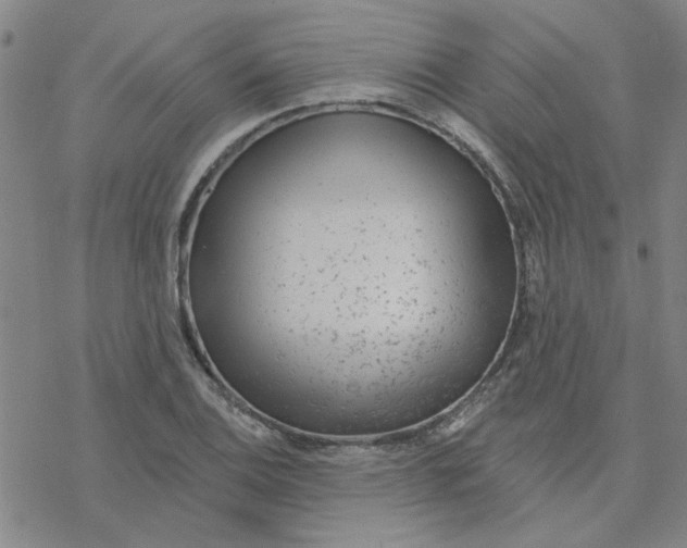 X0000076401124200610271611