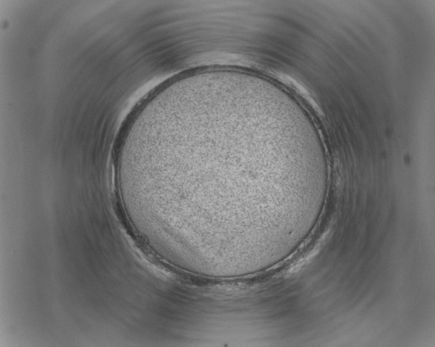 X0000076401125200610271611