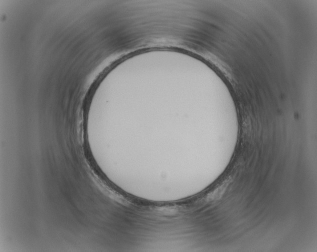 X0000076401126200610271611