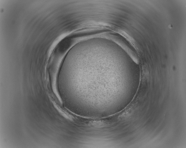 X0000076401128200610271611