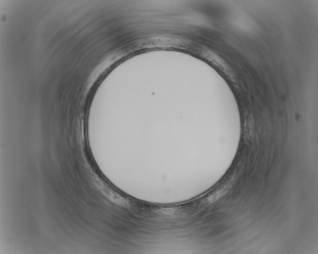 X0000076401130200610271611