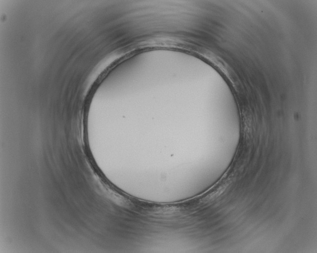 X0000076401131200610271611