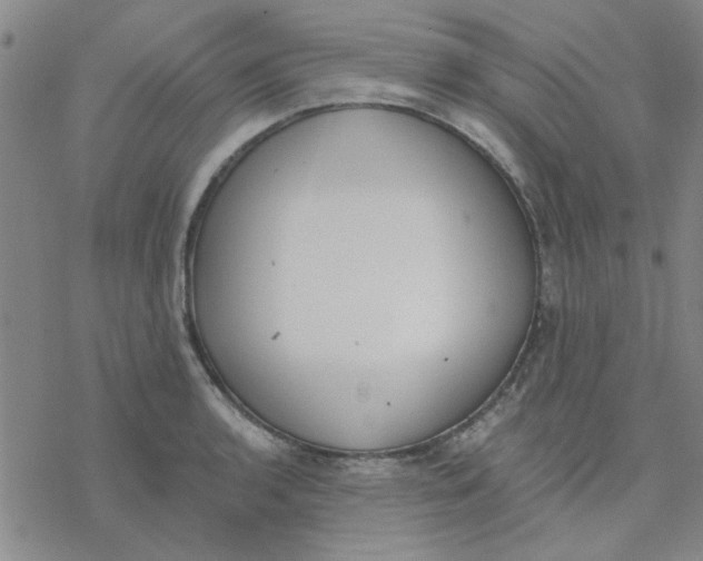 X0000076401136200610271611