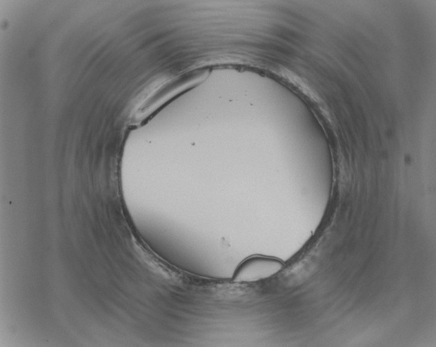 X0000076401137200610271611