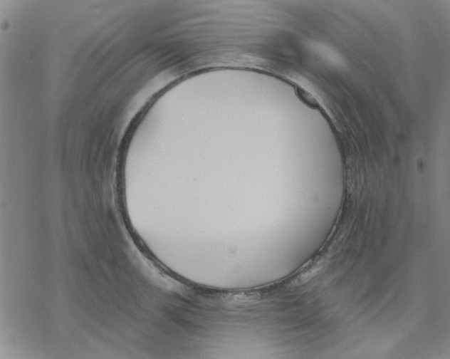 X0000076401139200610271611