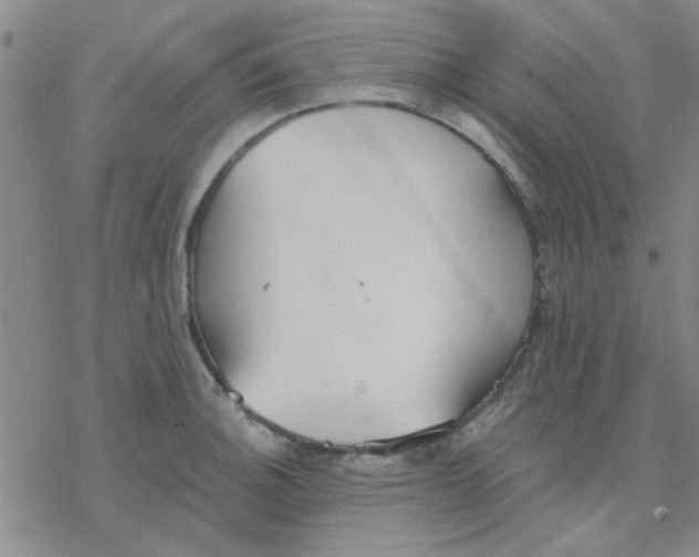 X0000076401140200610271611