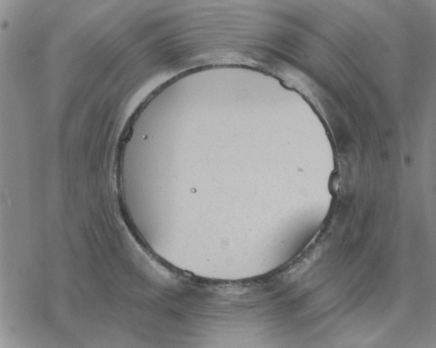 X0000076401141200610271611