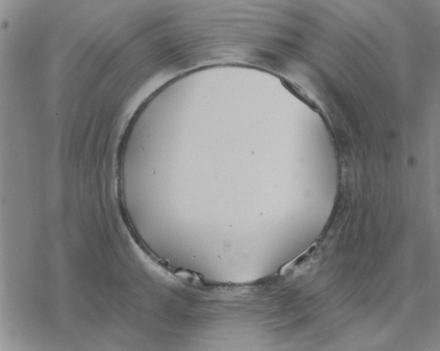 X0000076401143200610271611