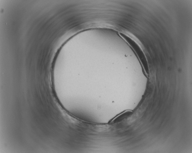 X0000076401144200610271611