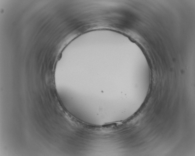 X0000076401145200610271611