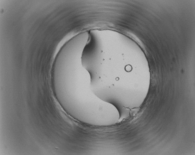 X0000076401146200610271611