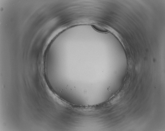 X0000076401147200610271611