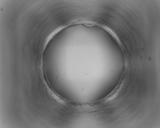 X0000076401149200610271611