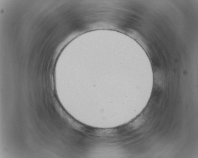 X0000076401150200610271611