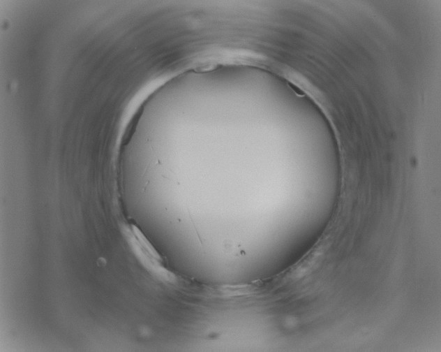 X0000076401152200610271612