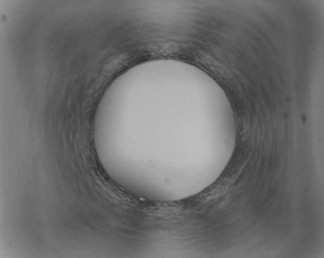 X0000076401153200610271611