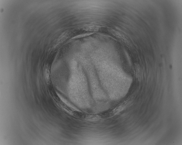 X0000076401154200610271611