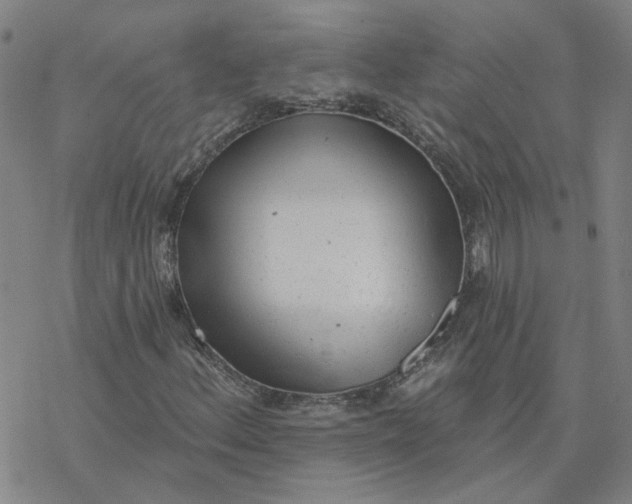 X0000076401156200610271611