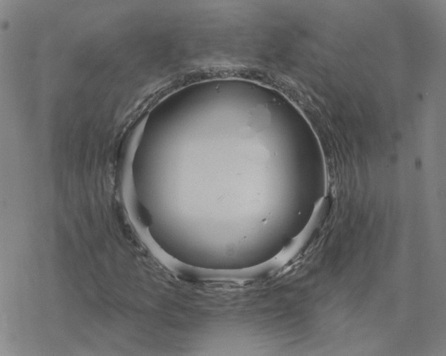 X0000076401157200610271611