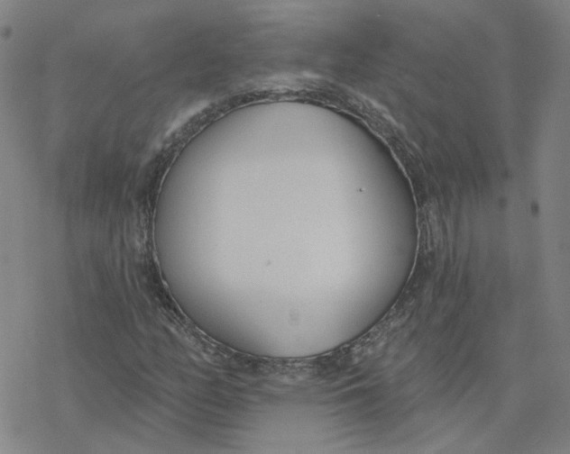 X0000076401158200610271611