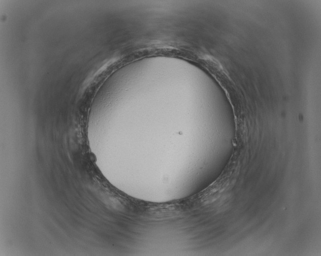 X0000076401159200610271611