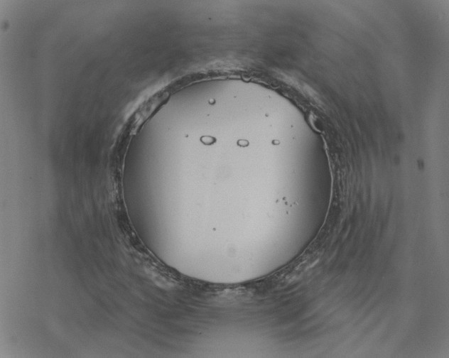 X0000076401160200610271611