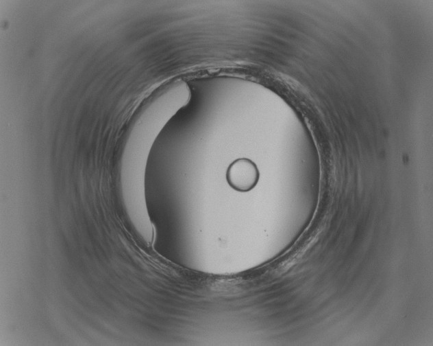 X0000076401161200610271611