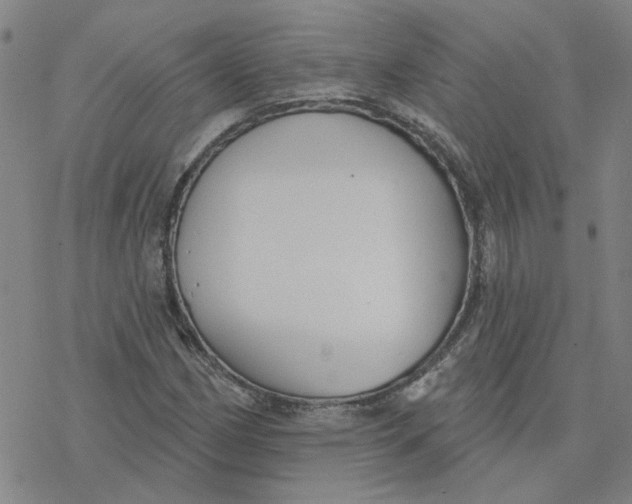 X0000076401162200610271611